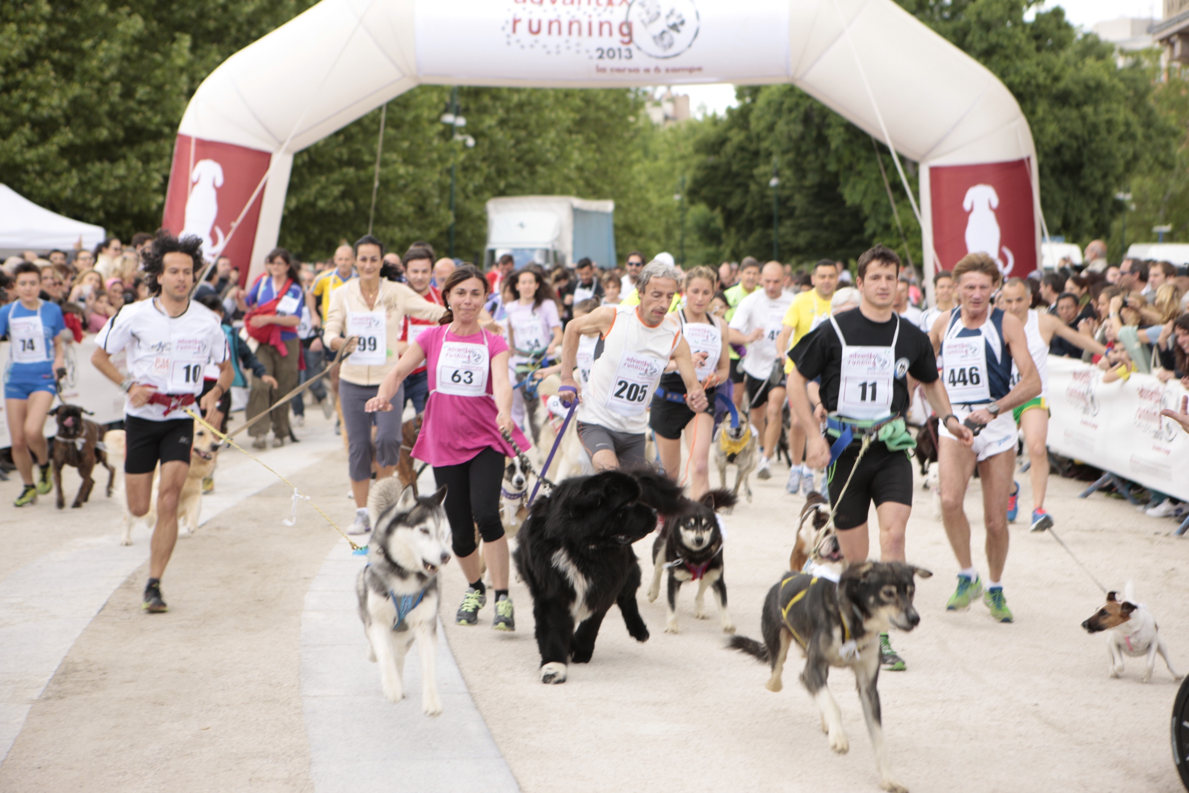 Advantix Running: maratona benefica a sei zampe