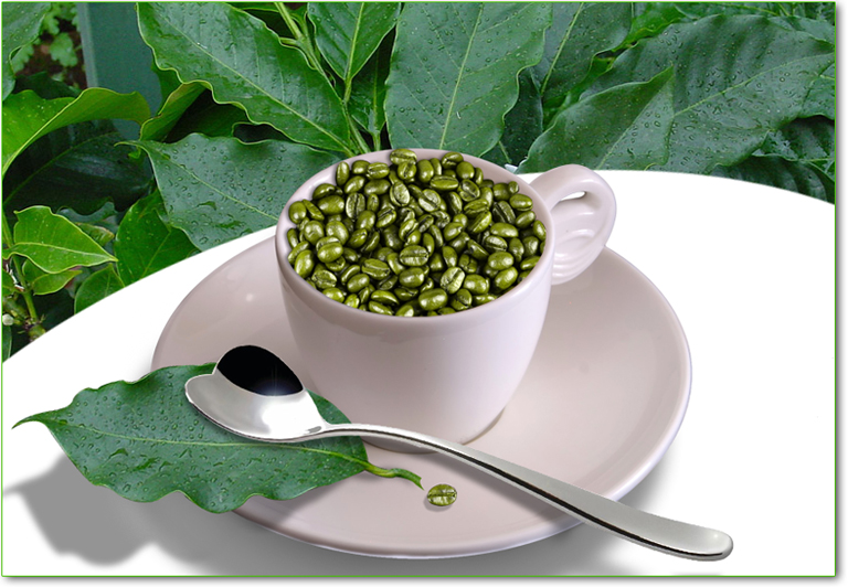 Dieta del caffè verde: l’alleato per perdere peso