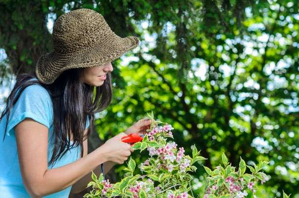 Tutto loccorrente per il giardinaggio