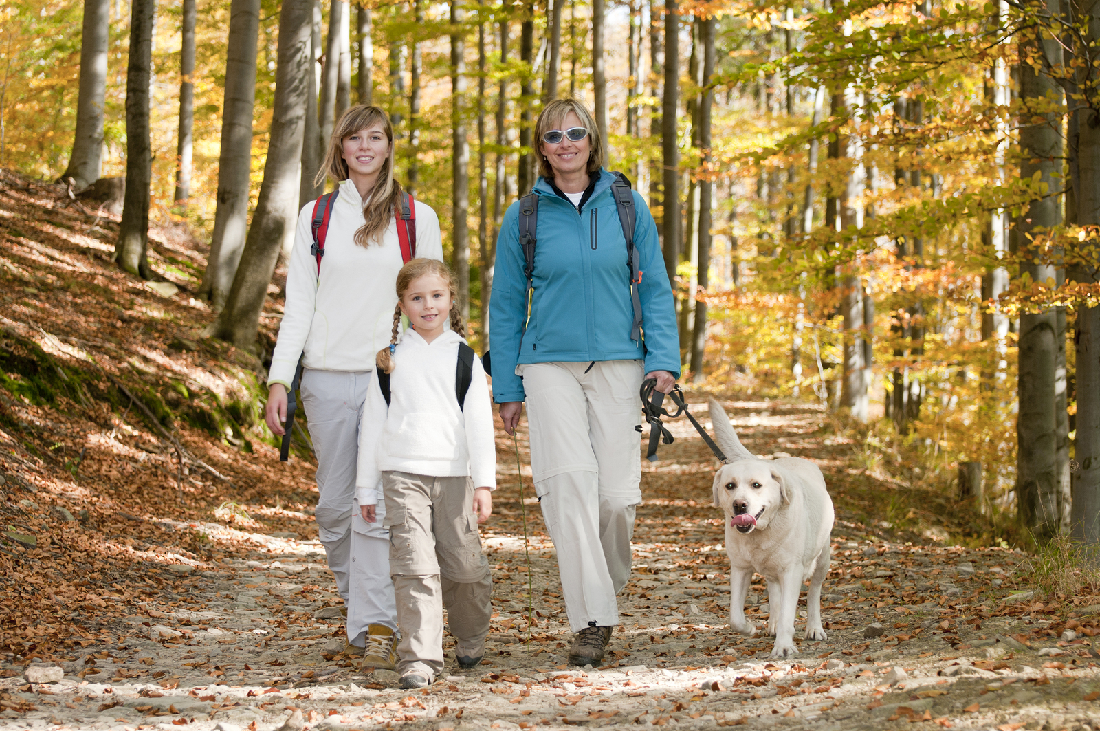 Vacanza in montagna: idee low cost per cani e bambini