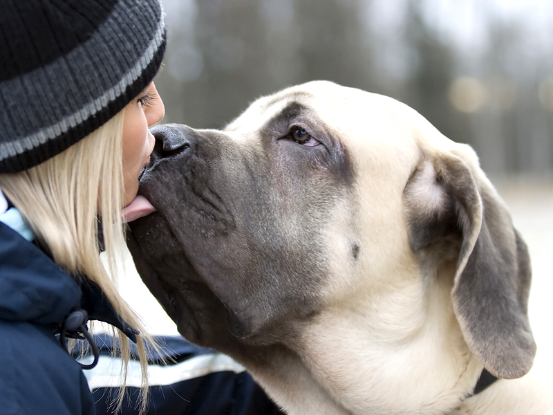 10 motivi per cui i cani sono i migliori amici dell’uomo