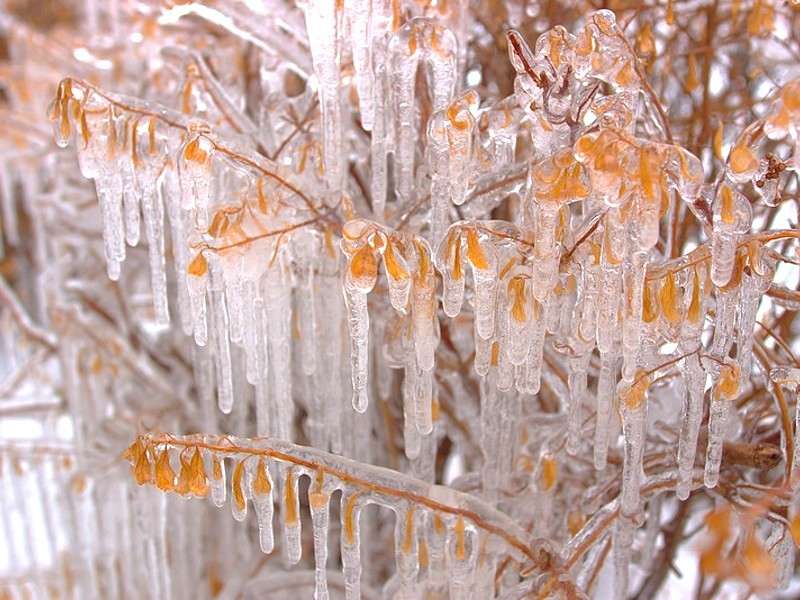 Paesaggi naturali in Inverno: i più belli [FOTO]