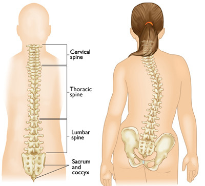 La scoliosi: caratteristiche, sintomi e terapia