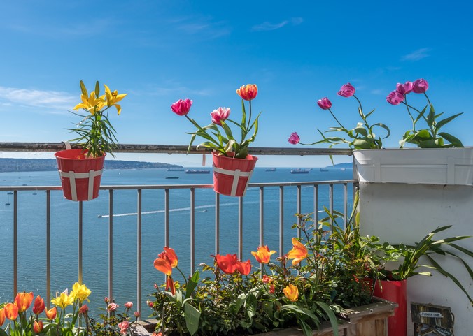 Piante da balcone in pieno sole: una guida alle tipologie migliori