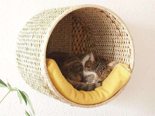 Cuccia per il gatto fai da te: 10 idee originali [FOTO]