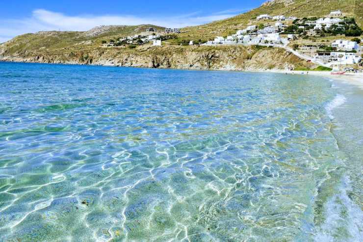 mare