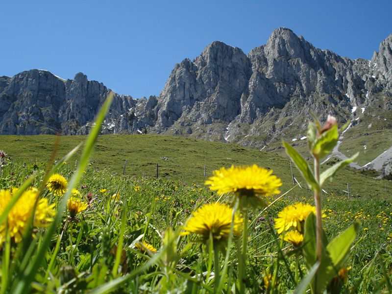 5 cose da fare in montagna d’estate