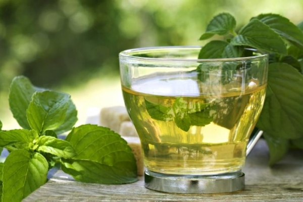 Tisane fredde estive