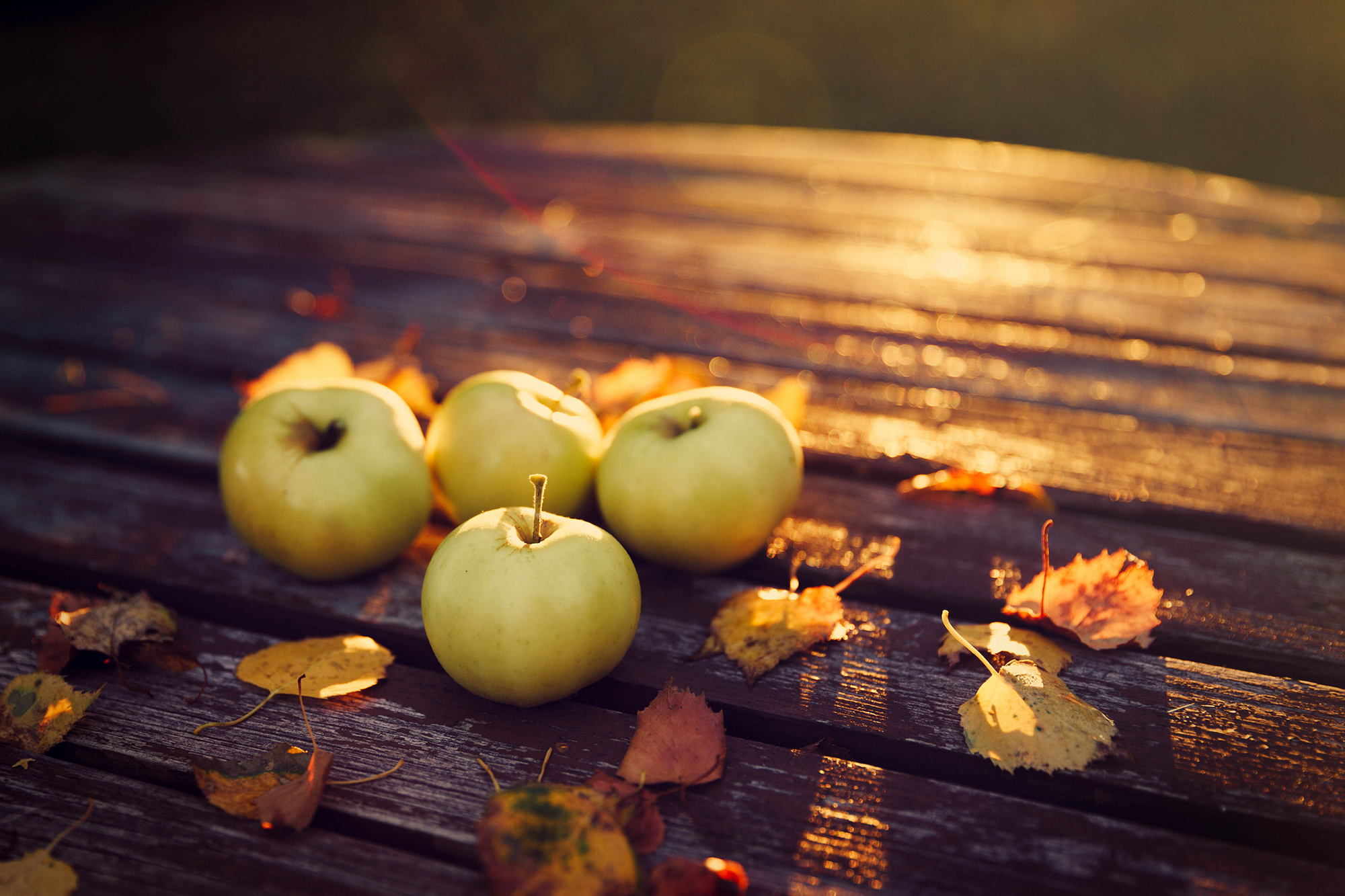 Dieta dimagrante d’autunno: tutti i cibi da portare in tavola