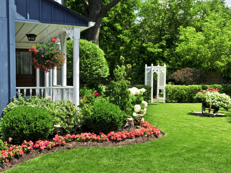 Giardino
