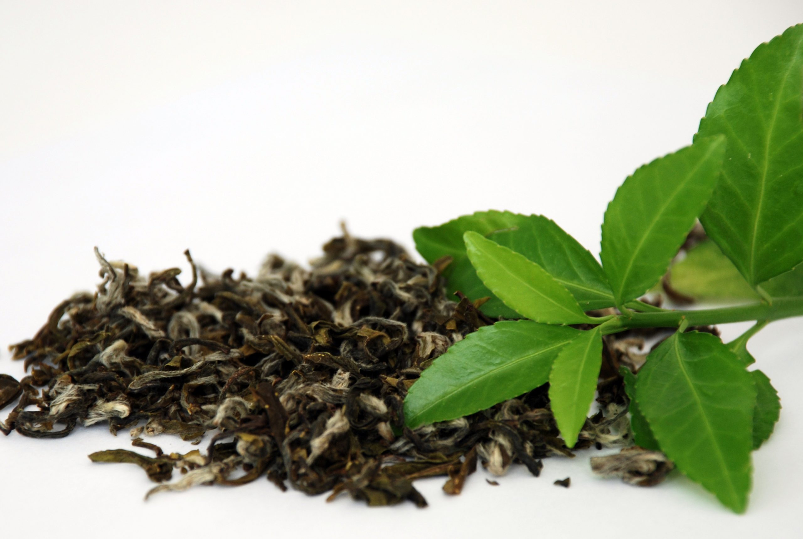 Tè verde per dimagrire, tutti i benefici della bevanda