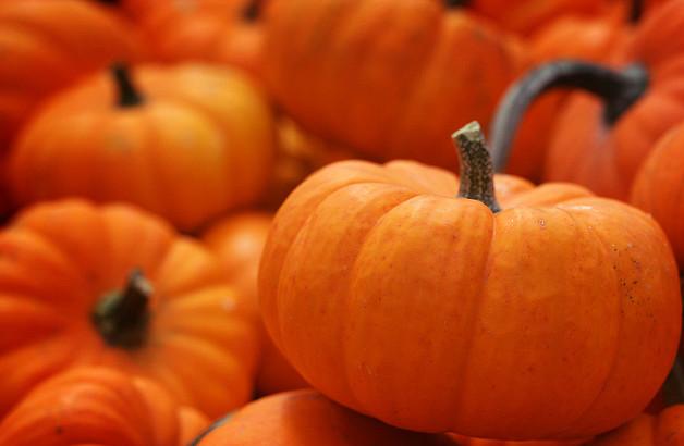 6 usi cosmetici della zucca