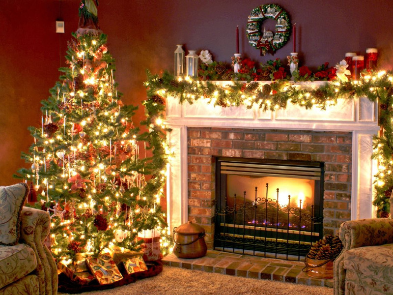Quale albero di Natale fa per te? [TEST]