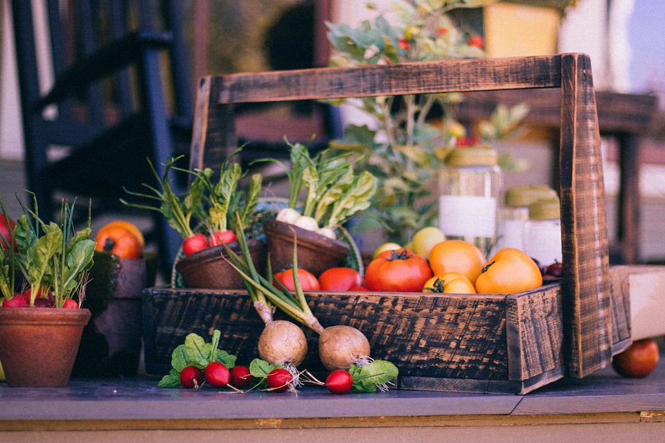 Quale dieta dell'inverno fa per te