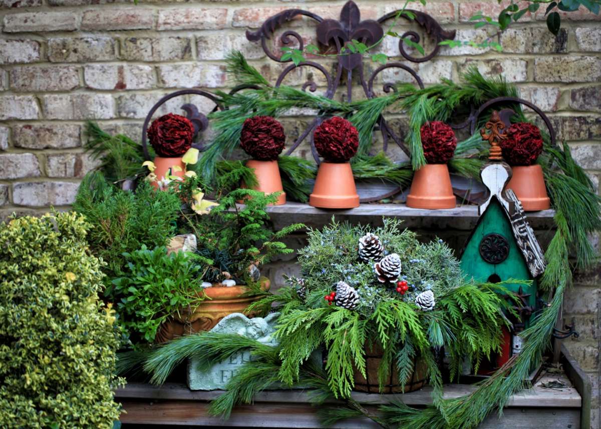 Il giardino in inverno: fiori, piante e decorazioni per uno spazio esterno bellissimo [FOTO]