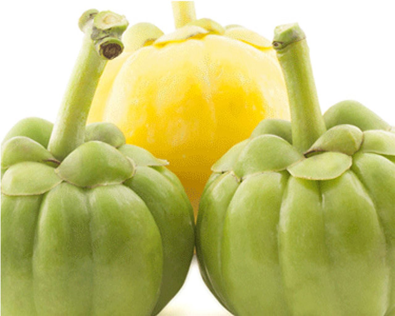 Garcinia Cambogia: l’integratore naturale dimagrante