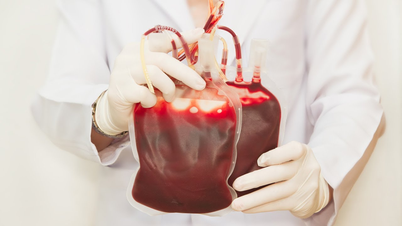 Cosa sai sulla donazione del sangue? [QUIZ]