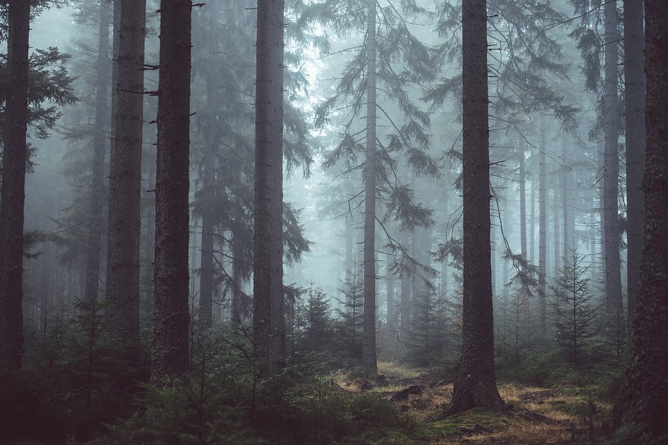 natura