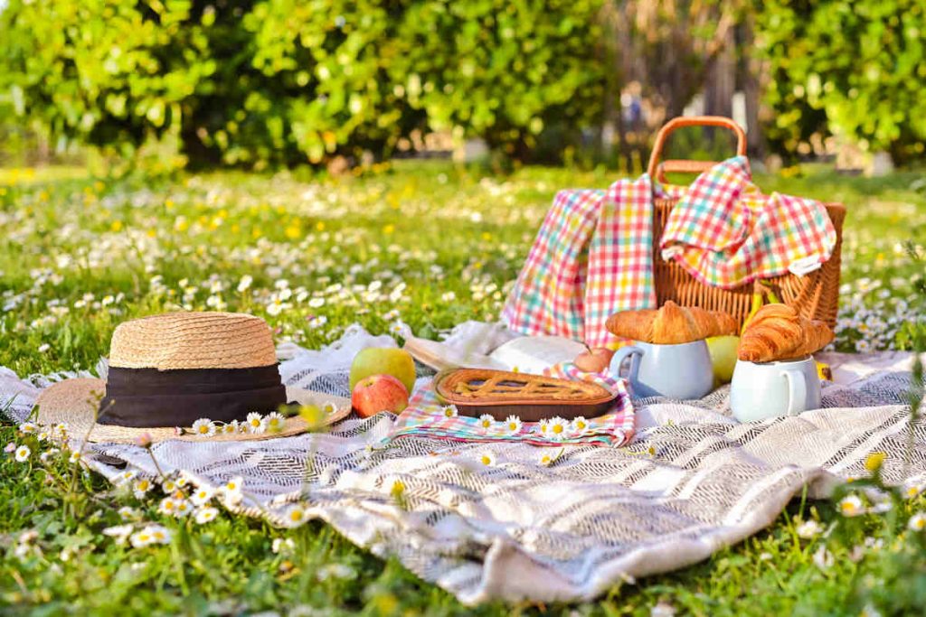 prato verde con cesto per picnic, cibo, e cappello di paglia