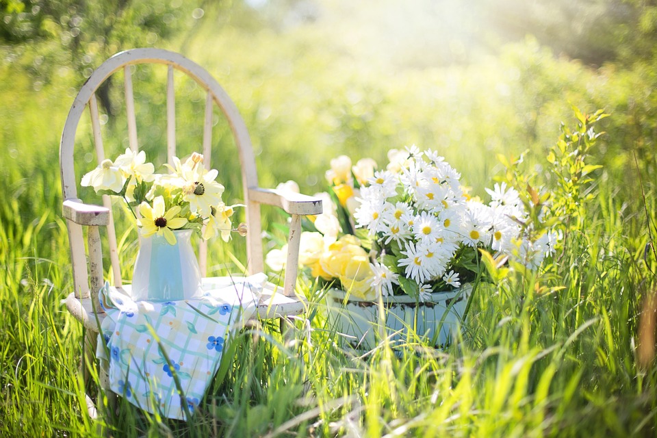 Quale tipo di giardino sei? [TEST]