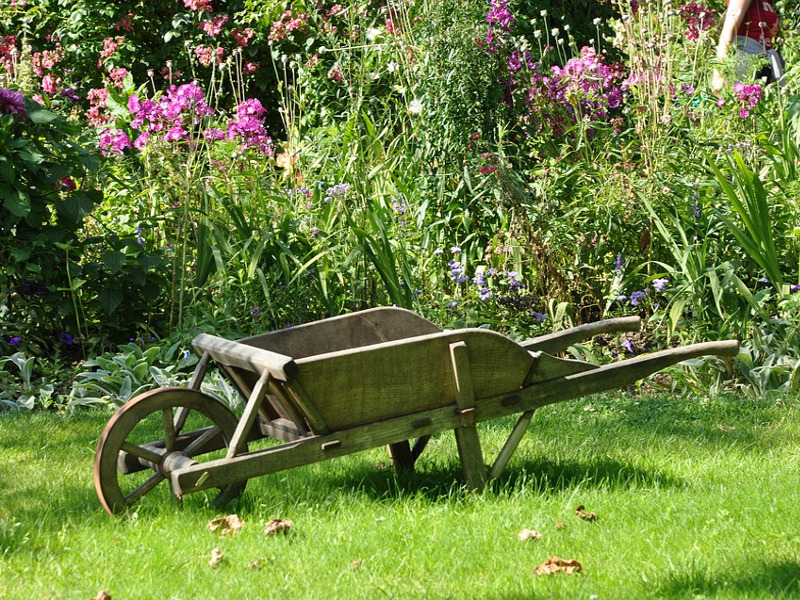 Giardino