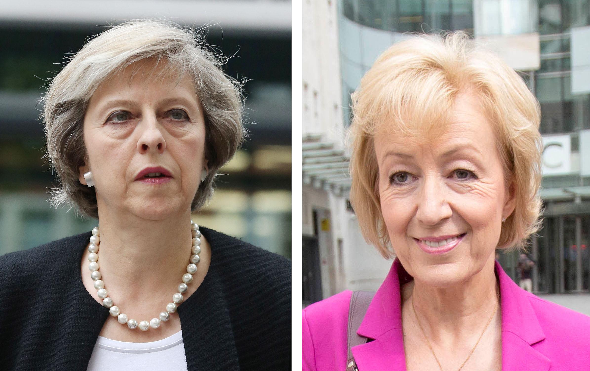 Conservative leadership-Theresa May-Andrea Landsome