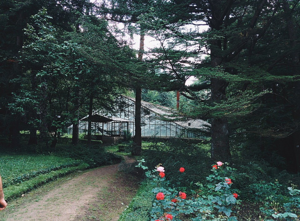 giardino