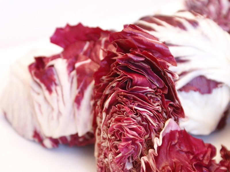 Come coltivare il radicchio