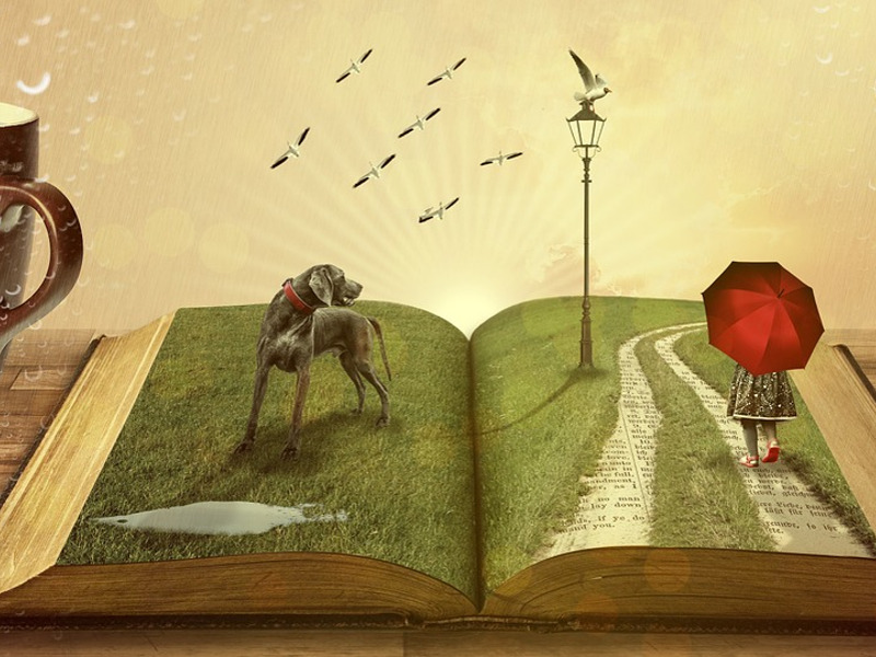 Leggere libro