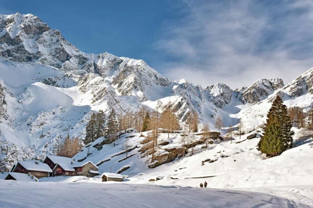 paesaggio montano ricoperto di neve con alberi 