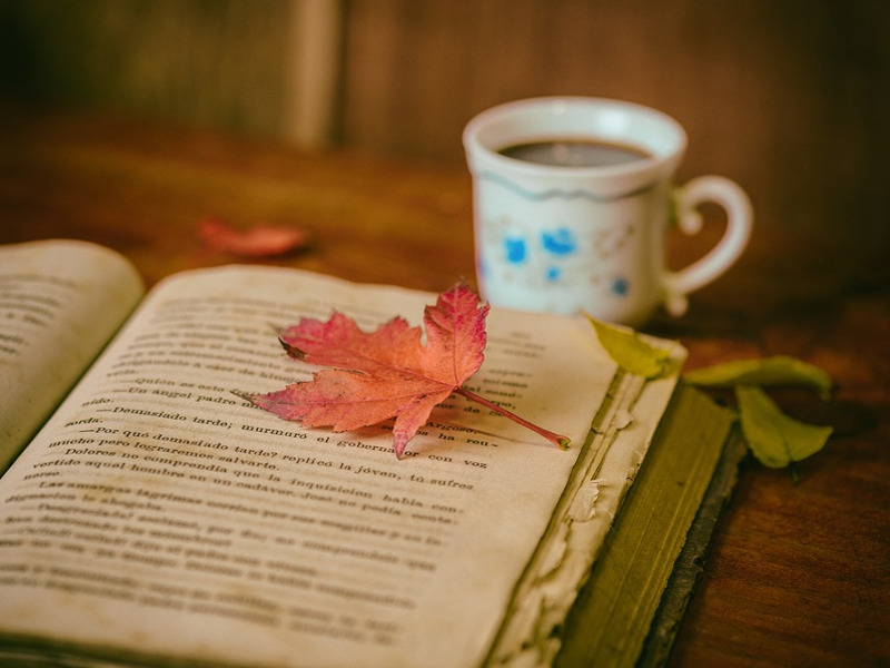 Libro autunno