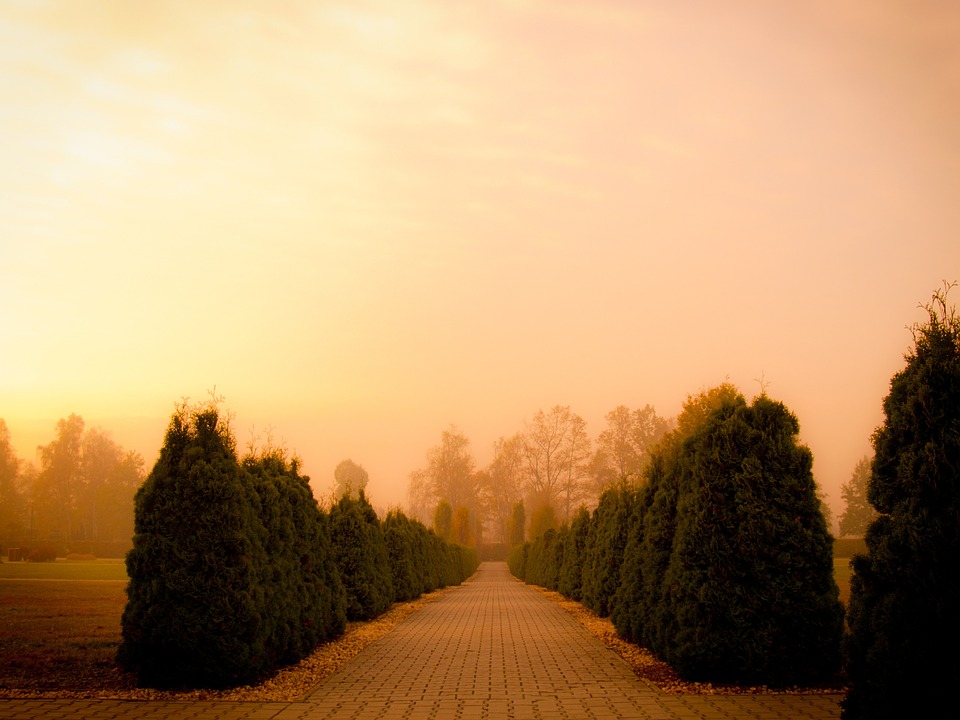 I lavori di novembre in giardino