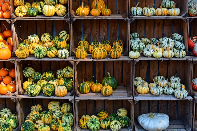 Zucca: tre ricette light