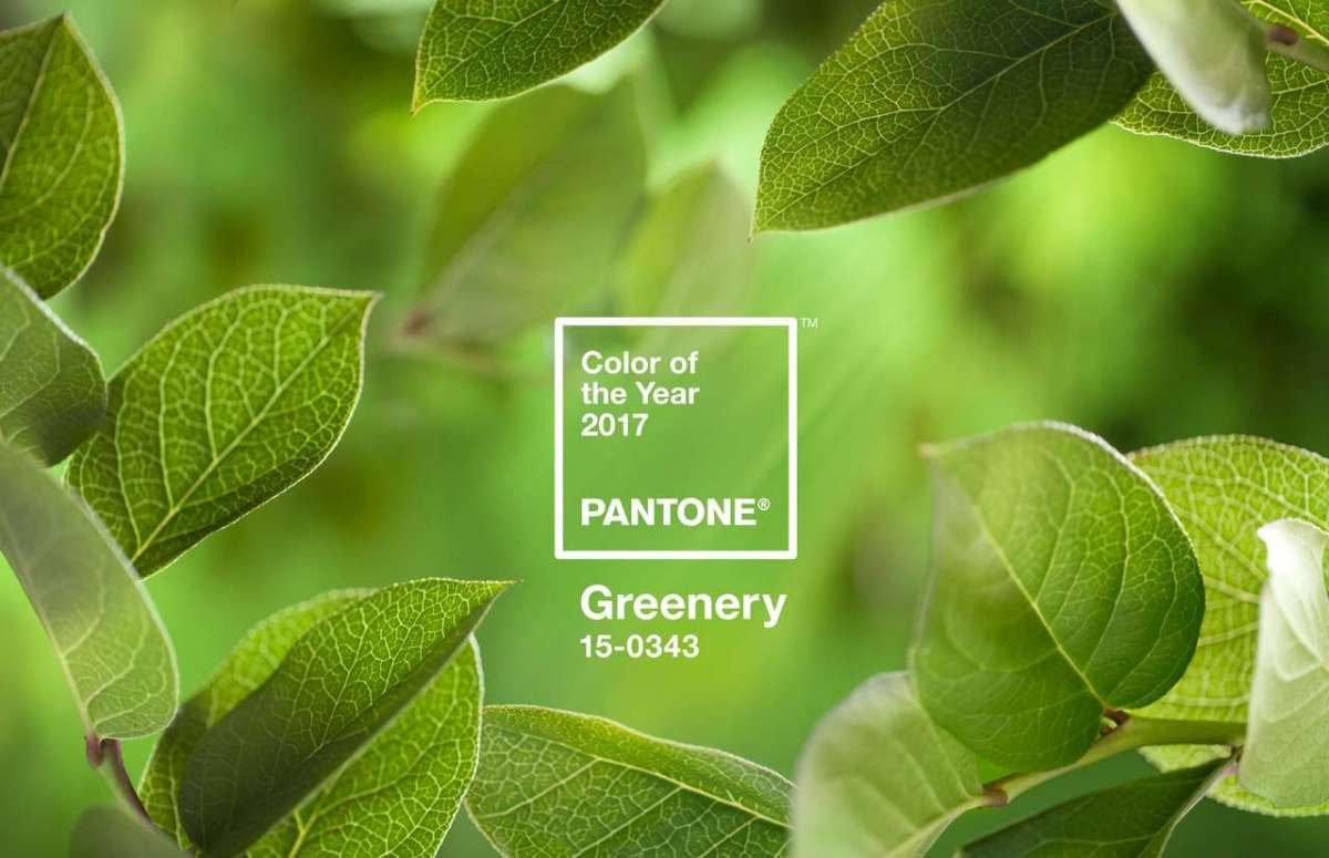 Matrimonio color greenery: il colore Pantone 2017 [FOTO]