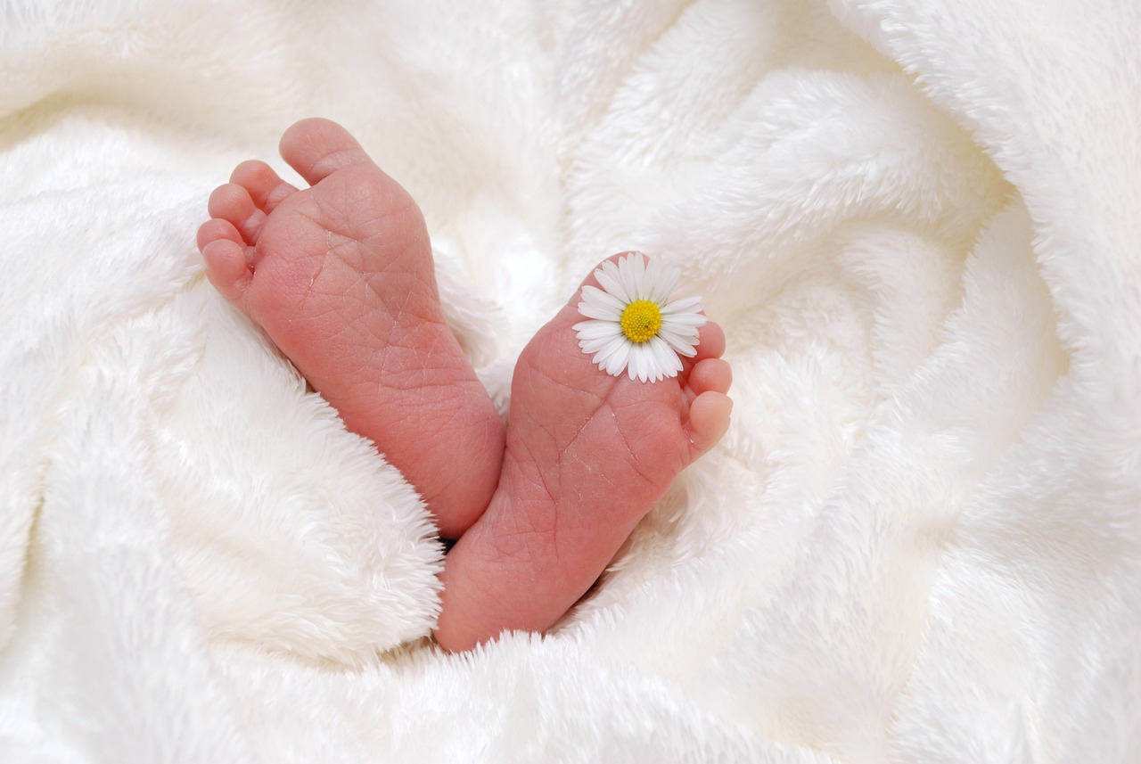 Fiori e piante da regalare per la nascita di un bambino