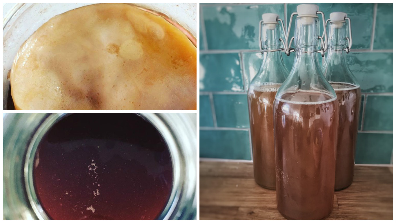 kambucha te detox