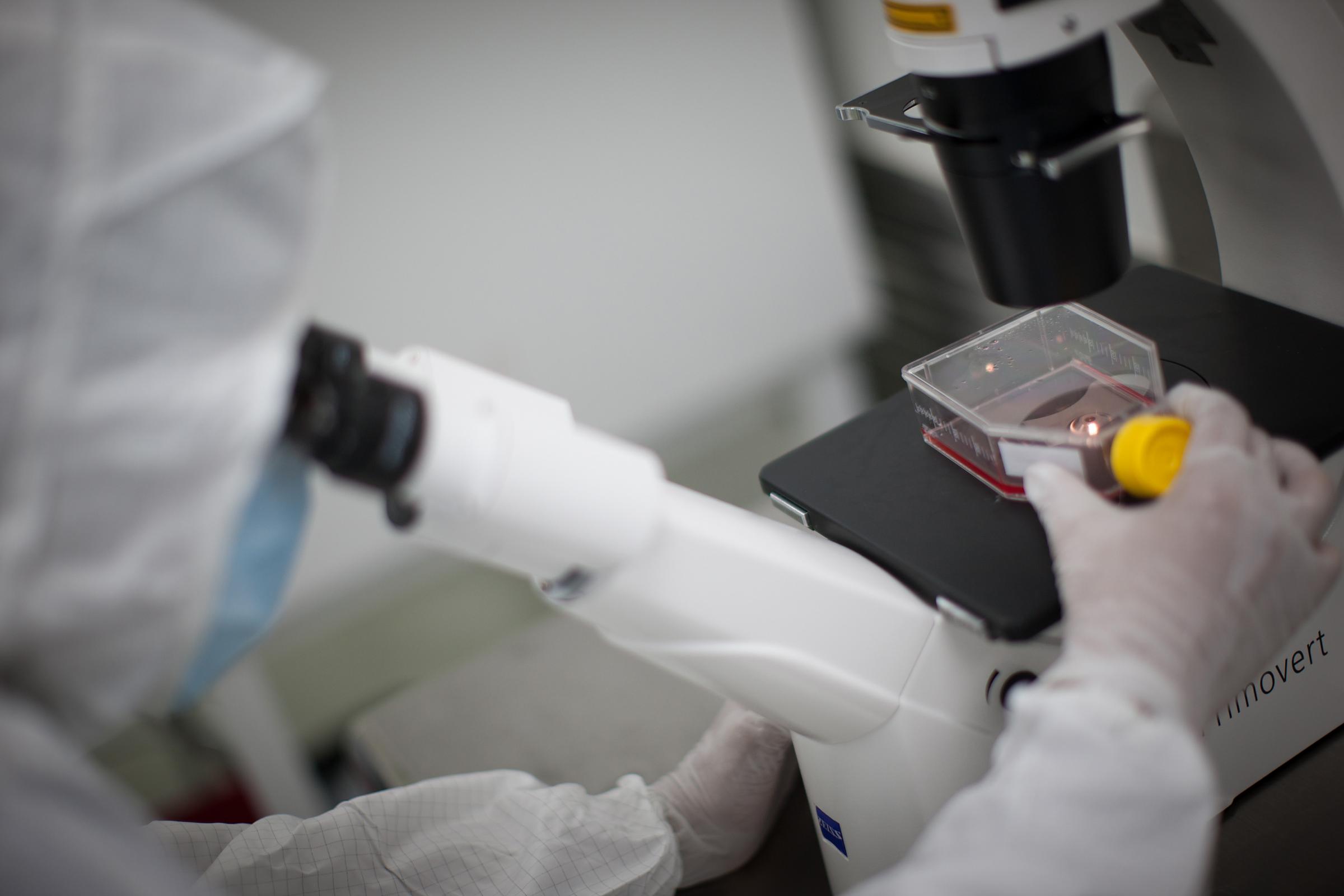 laboratorio ricerche studi sterilità
