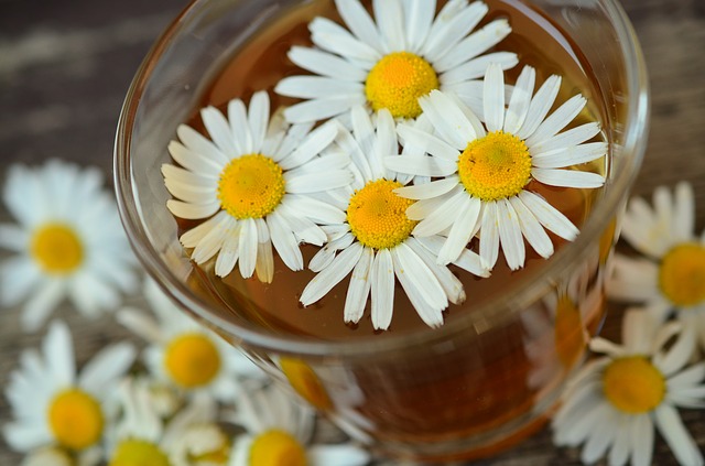 Tisane con fiori primaverili: le snellenti più efficaci