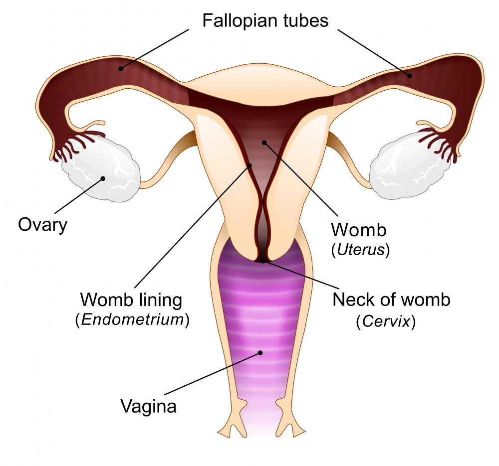 Ritardo mestruazioni: possibili cause