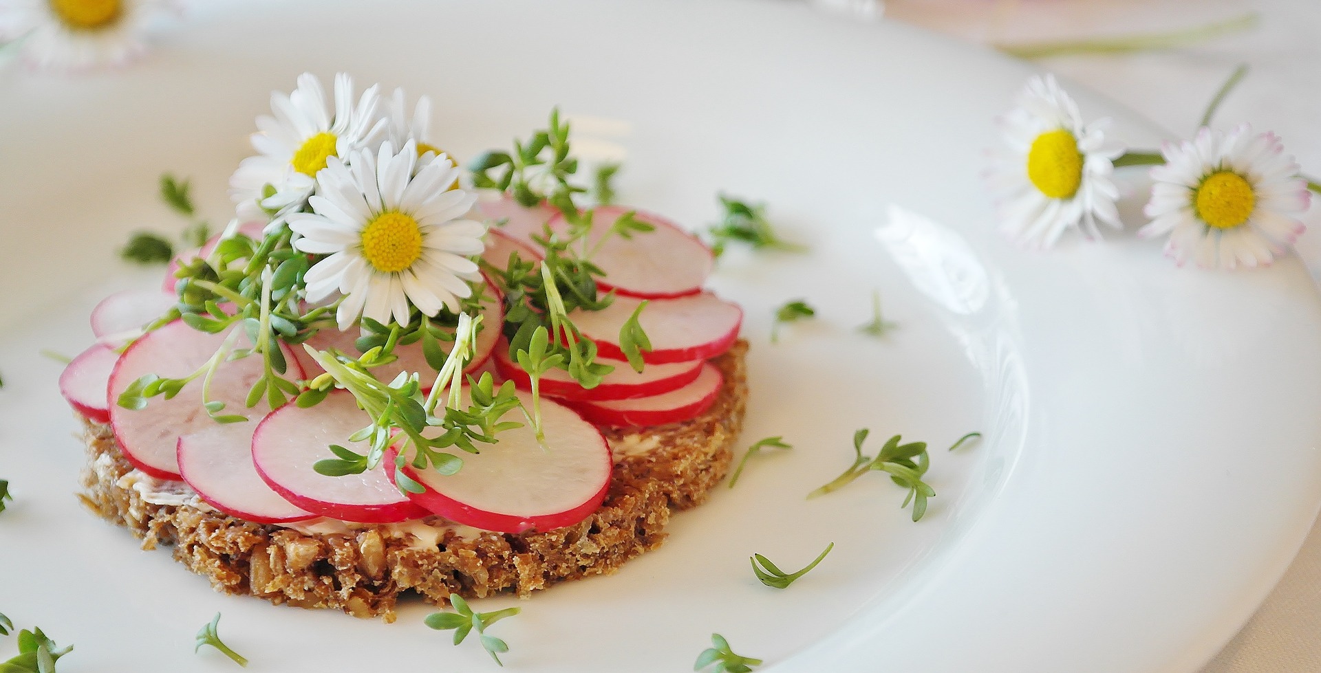 10 ricette crudiste