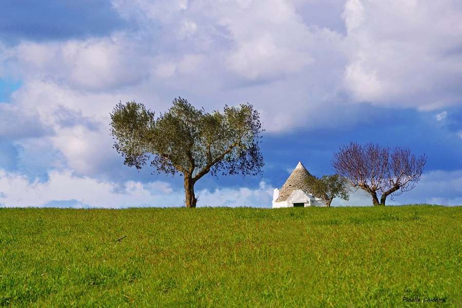 Vacanze in Puglia, dove andare? Consigli di viaggio anche per famiglie