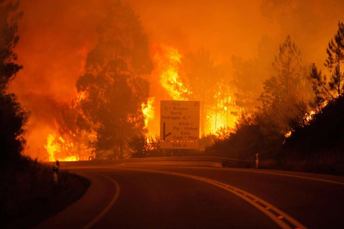 Portogallo, maxi incendio nel bosco fa strage: 62 vittime