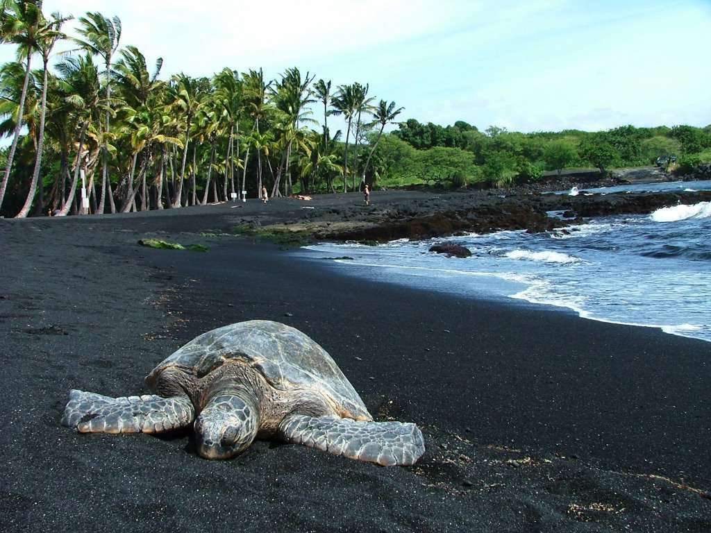 Spiaggia nera vulcanica: le più belle in Italia e all’estero