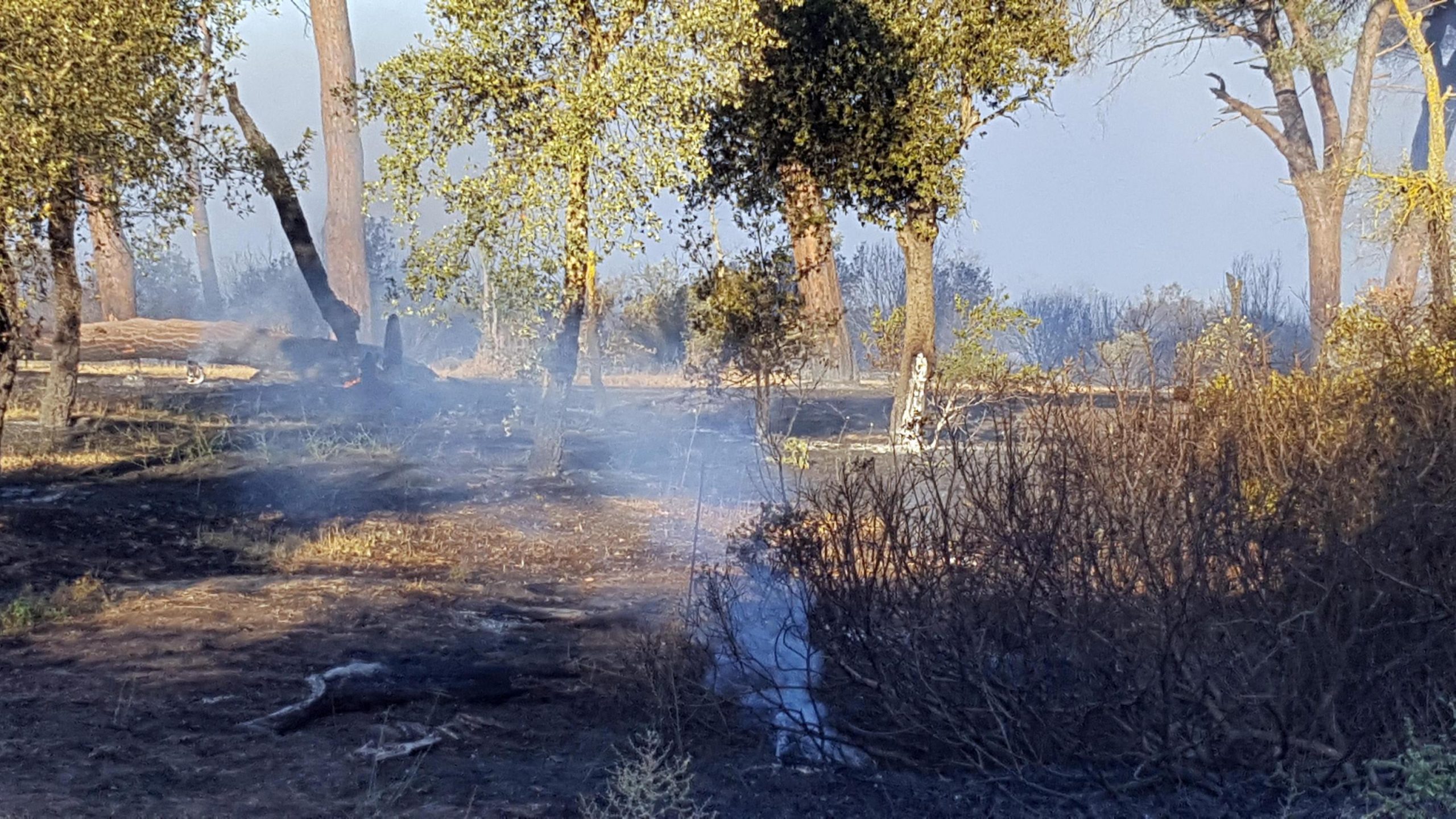 Incendi in Italia, la mappa dei luoghi che continuano a bruciare