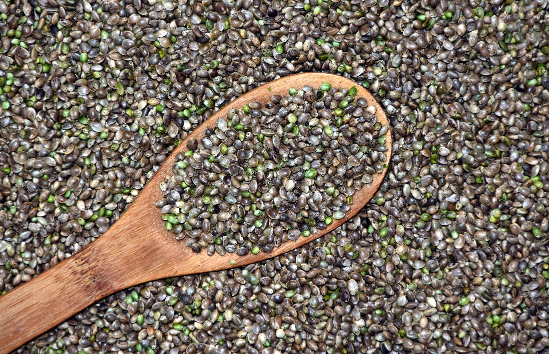 Come usare i semi di canapa per dimagrire: i consigli utili