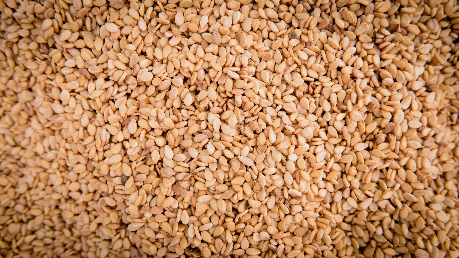 semi di sesamo