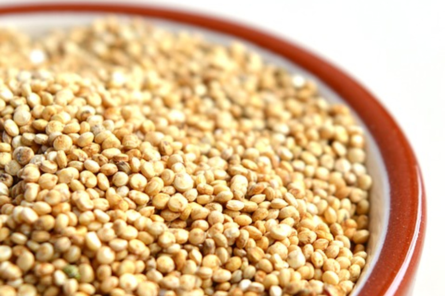 Quinoa, quando piantarla? Consigli sulla coltivazione