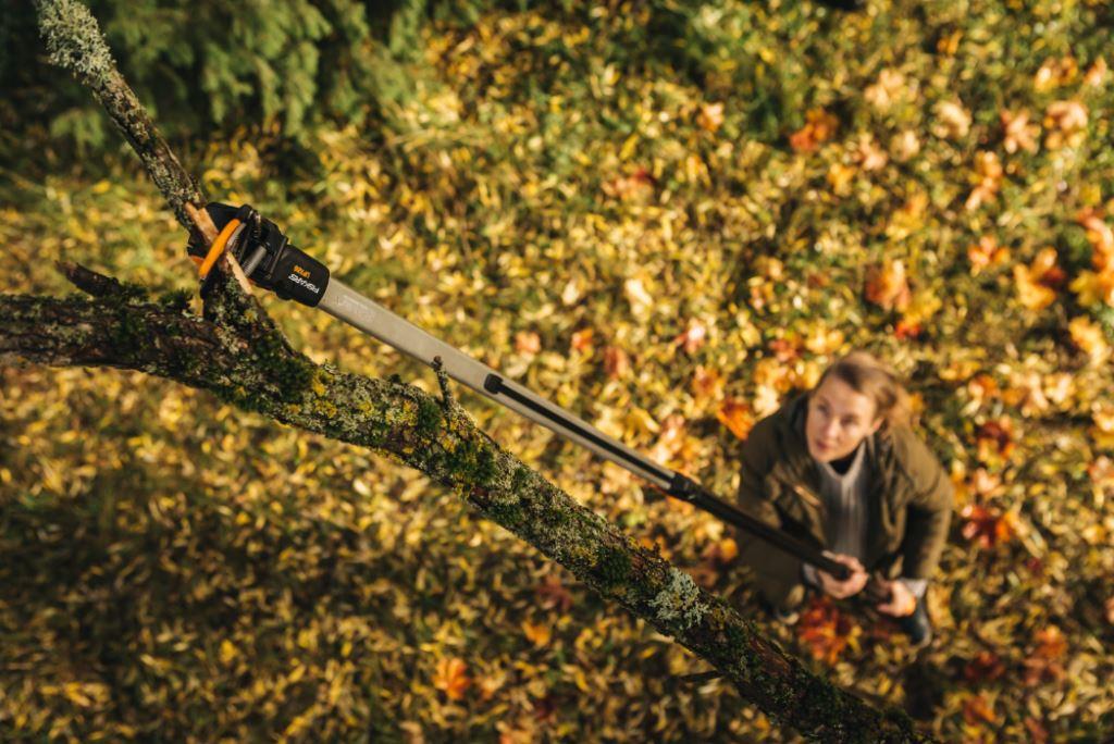 Come rimettere in ordine il giardino per l’arrivo della primavera