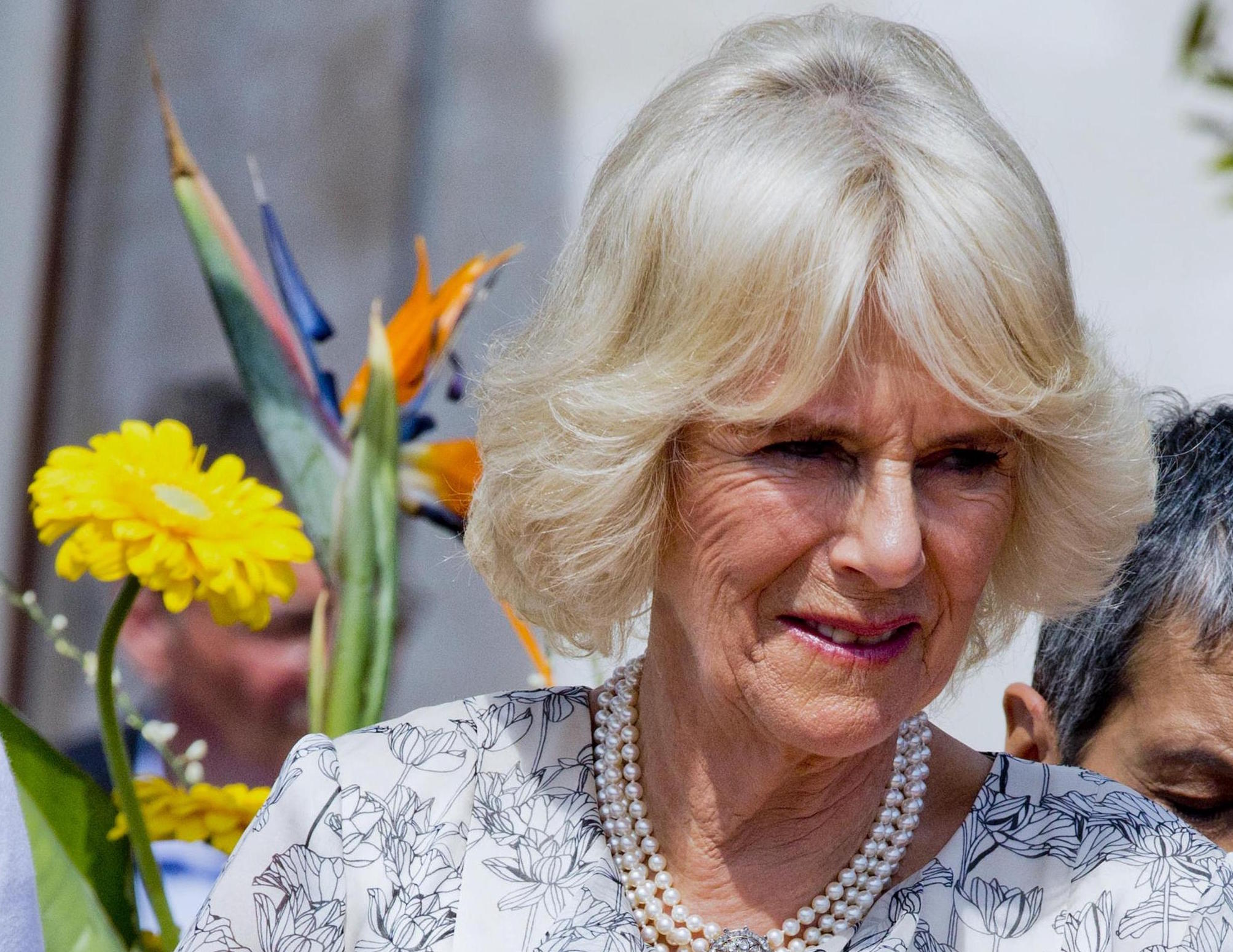 Il principe Harry sconvolge tutti con le sue dichiarazioni su Camilla