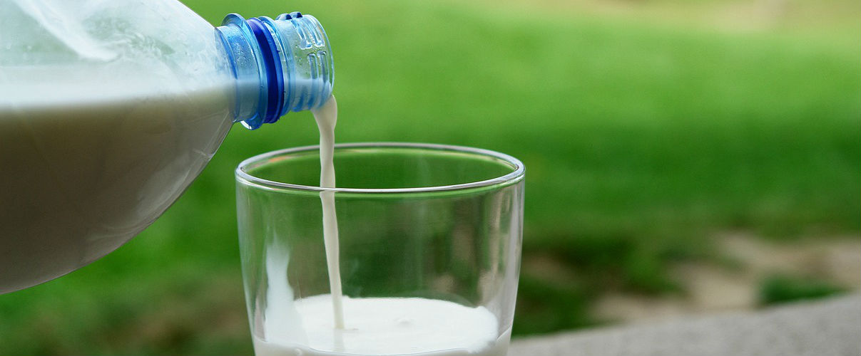 Latte, proprietà e miti da sfatare di un alimento complesso